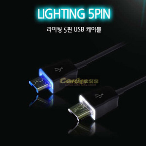 릿츠 DL-905 라이팅 USB케이블 발광 마이크로5핀